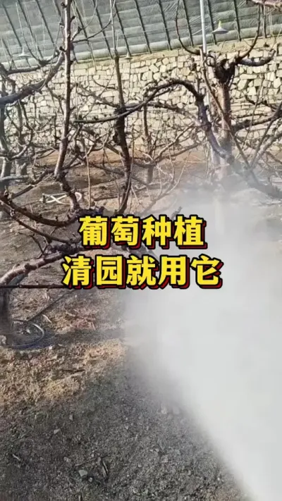 ����ݪֲ����԰������ #������ݪֲ #����ݪֲ #����ݪֲ