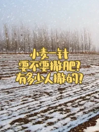 С��һ��,Ҫ��Ҫ����?�м���������?̸������!#һ����С�� #С��������� #������ũ��ũ #��ũ������ #ϲ���ĵ���޼ӹ�ע