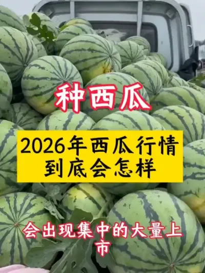 #����ݪֲ #����ݪֲ���� #���Ϲ��� #������ #����