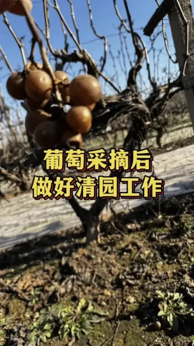 ���Ѳ��պ���������԰����#��ũ #ũҵݪֲ #ũҵݪֲ