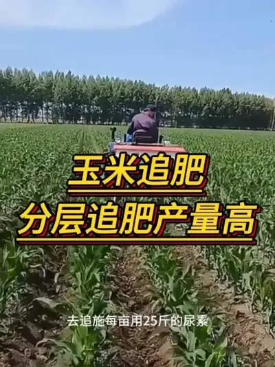 ����׷�����ֲ�׷�ʲ�����#����ݪֲ #���׹��� #���׸߲�