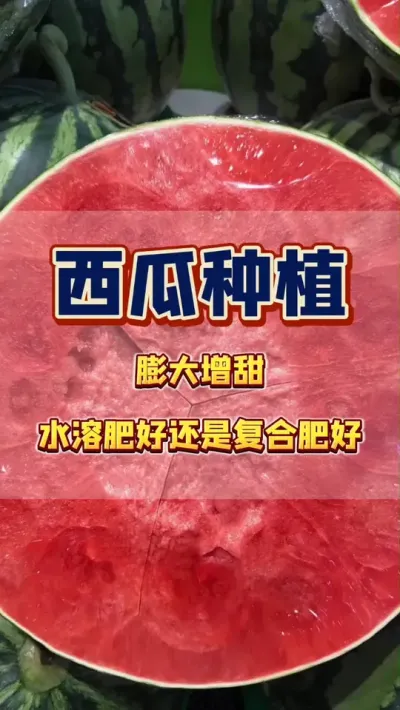 #����ݪֲ#���Ϲ���#�������