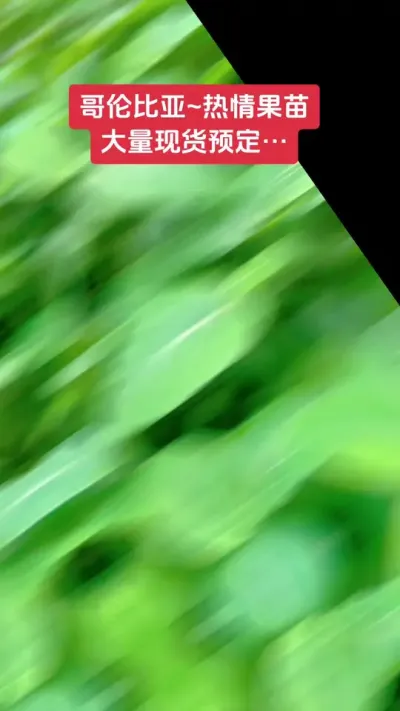 ���ױ��������������ֻ���#��ũ������ #�ƽ����� #������ũ��ũ #��ũ #ԭ��̬ˮ��