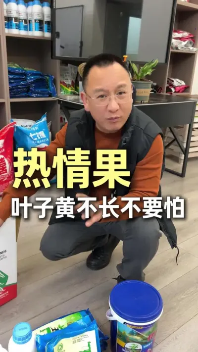 �����Ҷ�Ӳ�������Ҷ����ô���óͷ���#ũҵ�����ƹ� #ݪֲС���� #��ũ #��ɽ #�����