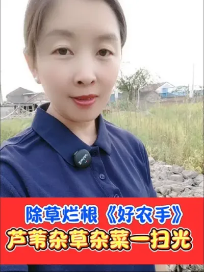 灭生性烂根除草剂，封杀双效 《好农手》烂根组合，一次性根除芦苇茅草游草牛筋草葎草刺儿菜小飞蓬等各种杂草，不伤土壤，除草后放心种植#除草 #除草剂 #除草配方 #农资肥料 #农资店