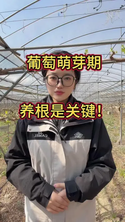 ������ѿ��������Ҫ����#ũҵݪֲ #����ݪֲ