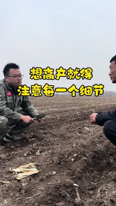 高产是做出来的，而不是说出来的 想高产就得注意每一个细节 #春耕进行时 #农业技术 #新农人计划