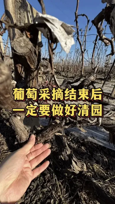 ���Ѳ�������һ��Ҫ������԰#��ũ #��԰���� #��ũݪֲ