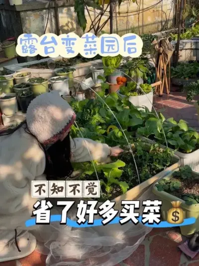 ��ٸ�ũ���ݵ�һ��&hellip;?¶̨С��԰���� ��֪�����ڸ���ʲô�˵Ŀ��Խ�����?һĿ��Ȼ����#��̨�ֲ� #¶̨С��԰ #ӣ���ܲ� #������ʲô�� #һ��ƽ��vlog