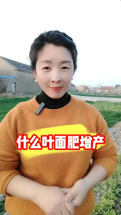 小麦到底用什么叶面肥能增产 #莱茵金露 #小麦增产 #小麦种植 #小麦 #农资肥料