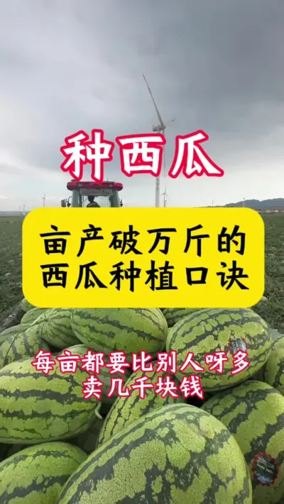 #����ݪֲ#������#����ݪֲ���� #���� #ũҵݪֲ