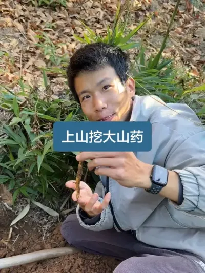 ���ǿ��˼���ɽ��ɽҩ��������Ҳȥ����һ����ɽҩ #�ҵ��������� #��ũ������2025 #��ɽҩ