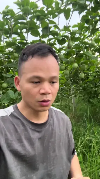 �����Ϊʲôһֱ��Ƿ�õ�Ե��ԭ�ɣ�#ũҵݪֲ #�ְ����#�ƽ�����ݪֲ����