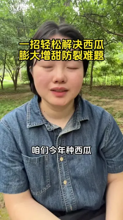 #西瓜种植#西瓜膨大#西瓜高产#西瓜种植技术
