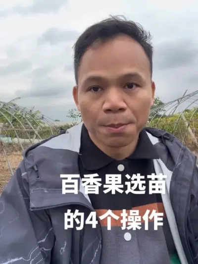 ���������ѡ����ľ#�ְ����#������� #��������ڹ��� #�����ݪֲ #�����ݪֲ����