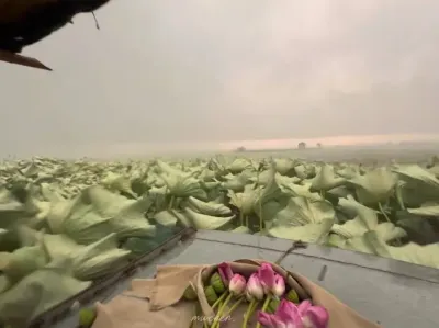 &ldquo;�˾������� ����ź���&rdquo;