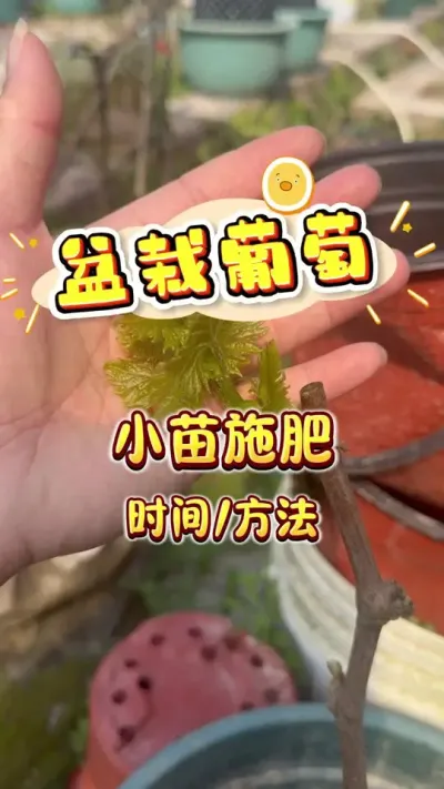 ��������С��ʩ��ʱ���Ҫ��#��������#¥����԰#����#ݪֲС����