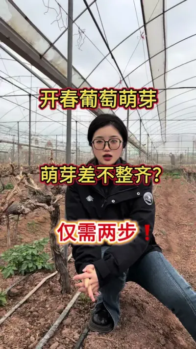 ����������ѿ�ļ��ڵ��ˣ�һ��Ҫ������ѿ�ڵĹ���������ֲ�����ƻ����¹���׳�ƻ���������ѿ����֦���ʵΪ���ڷ����ڨ������#�Ĵ����� #����ƻ�#����ݪֲ