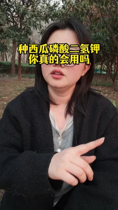 #����ݪֲ#���Ϲ���#���ϸ߲�#����ݪֲ����#��������