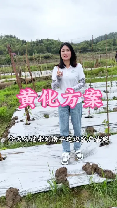 百香果黄化的解决方案来了，大家记得点赞收藏起来！#乡村守护人 #助力三农 #新农人计划 #百香果 #三农种植 @抖音小助手 @DOU+小助手