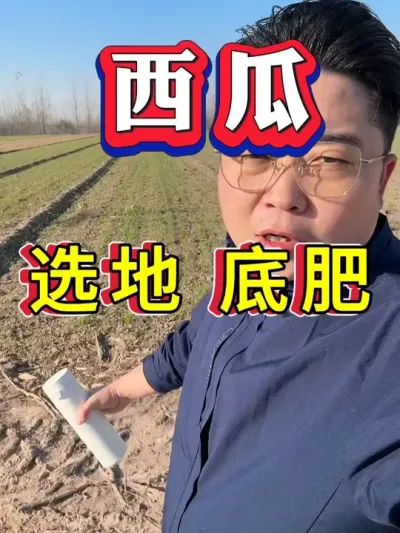 ����ѡ�� �׷���ϸ�÷� #����ݪֲ #������ #����ݪֲ #�������� #8424����