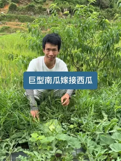 �����ϼ޽ӵ������Ϲ��ϻ���ô�� #ݪֲС���� #���� #�����Ϲ� #������ũ��