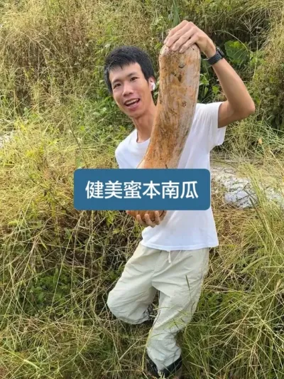 ��ʱ162���������ӵ��ջ��������۱��Ϲϵ�ݪֲȫ���� #�ҵ��������� #ݪֲС���� #�Ϲ�