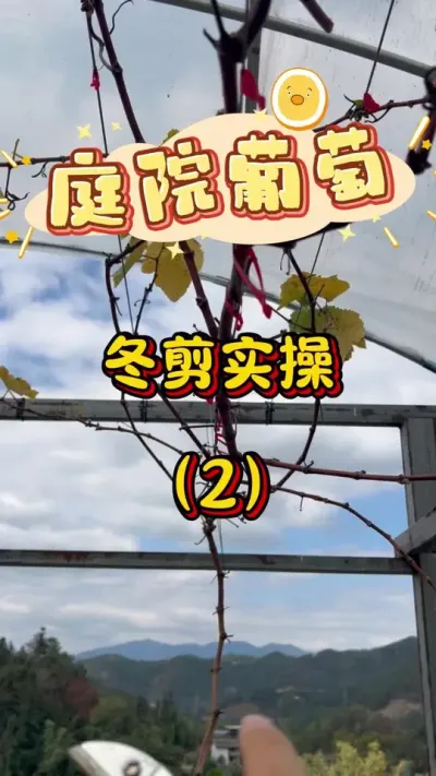 ͥԺ���Ѷ���ʵ��(2)#����#ͥԺ����#¥����԰#���Ѷ���#������������