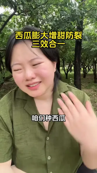 #西瓜种植#西瓜膨大#西瓜增甜#西瓜高产#西瓜管理