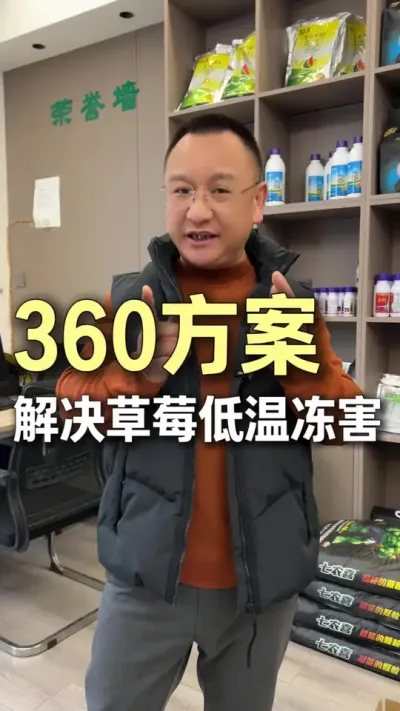 360�ƻ��������ݮ���¶�����#ũҵ�����ƹ� #ݪֲС���� #��ũ #��ɽ #��ݮ