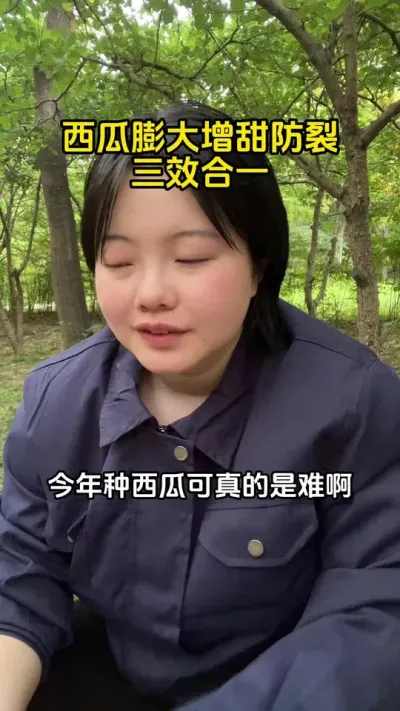 #西瓜种植#西瓜管理#西瓜高产#西瓜膨大