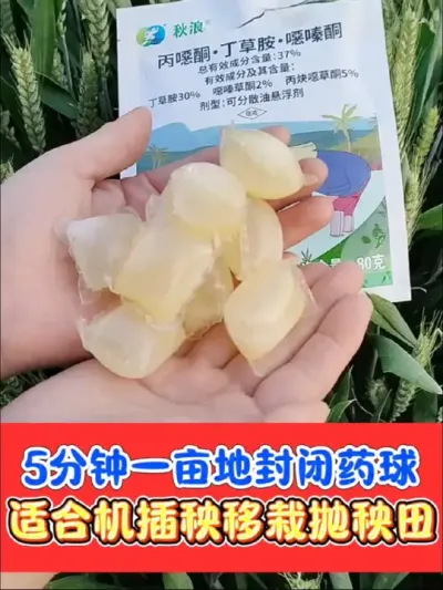 省工省事封闭小药球，五分钟搞定一亩地 三元复配加强版封闭小药球，封草种类多，封闭效果好#水稻除草剂 #水稻种植 #水稻封闭除草剂 #水稻 #农资肥料