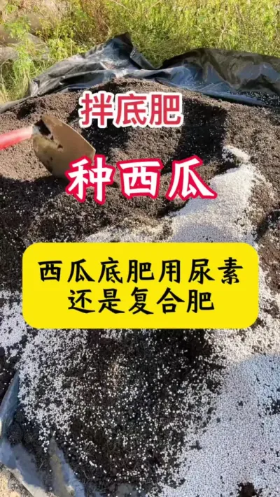 #���� #������#����ݪֲ#����ݪֲ����#���ϵ׷�