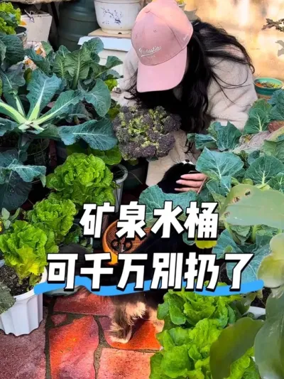 ��ȪˮͰ�ֲ��Ϻ��������ɱ������ˣ� �������๤����ʵ����������ֻҪ����þ��ܰ���ʡ������Ǯ��#��̨�ֲ� #����ʹ�� #��ȪˮͰ�ֲ� #��ʵ���ķ������� #�����߲�