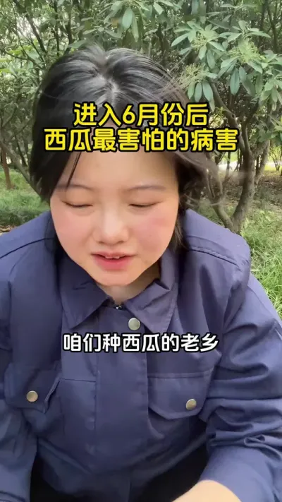 西瓜病害一锅端 #西瓜病害#西瓜管理#西瓜高产#西瓜种植#西瓜种植技术