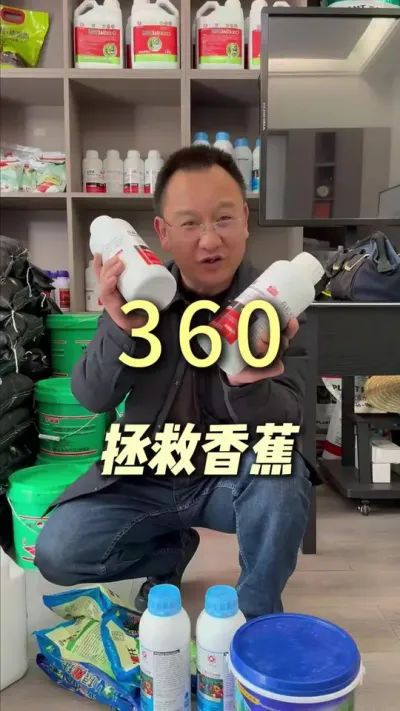 �㽶��������360������#ũҵݪֲ #��ũ #ݪֲС����