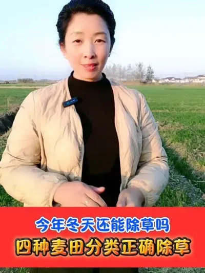 ����С�����ڻ��ܴ���ݼ����� #С��ݪֲ #С����ݼ� #С����� #ũ�ʷ���