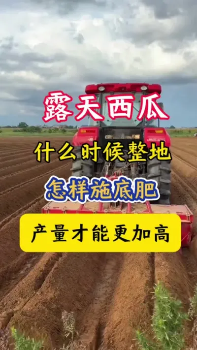 #����ݪֲ#����ݪֲ����#����#������#���ϵ׷�