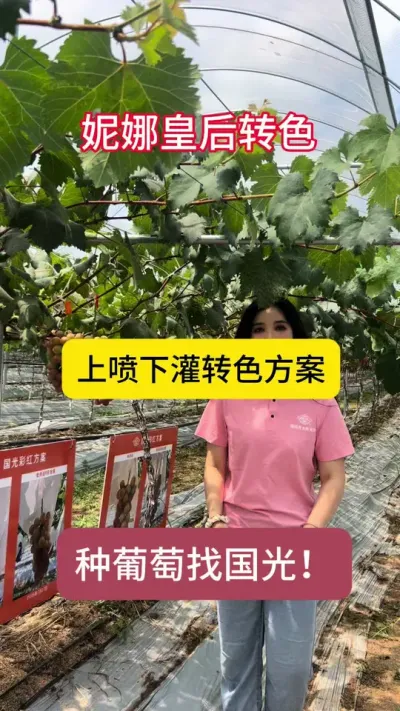 ���Ȼʺ�תɫ��ĺ�������������û�ö�Ҫ�죡#����ݪֲ #��ũ #����ݪֲ