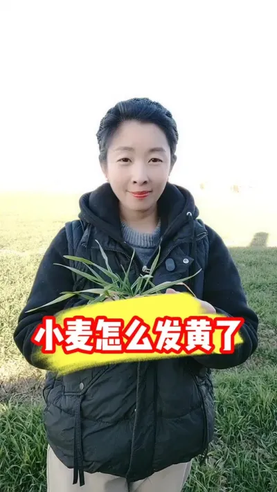 С�󷢻�Ե��ԭ�ɼ�������� #С��ݪֲ #С��ݪֲ�������� #С�� #ũ�ʷ��� #ũҵݪֲ