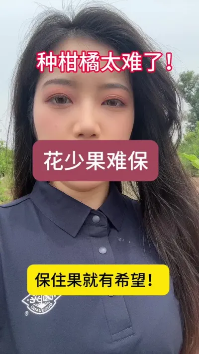 种柑橘太难了！花少又遇到高温天气！正是因为果子少所以今年价格有望回升！只要保住果就能有希望！大家一起加油！#果农 #柑橘种植 #国光贝能方案