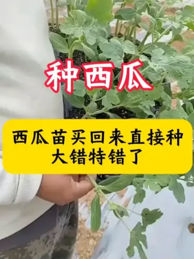 ŷ��ABG(�й�)���޹�˾����