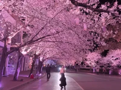 ��Ҫ��ԥ ������������������Ư����Ů������������.#����?