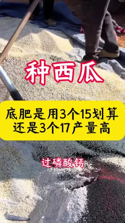 #种西瓜#西瓜种植#西瓜种植技术#西瓜#西瓜底肥