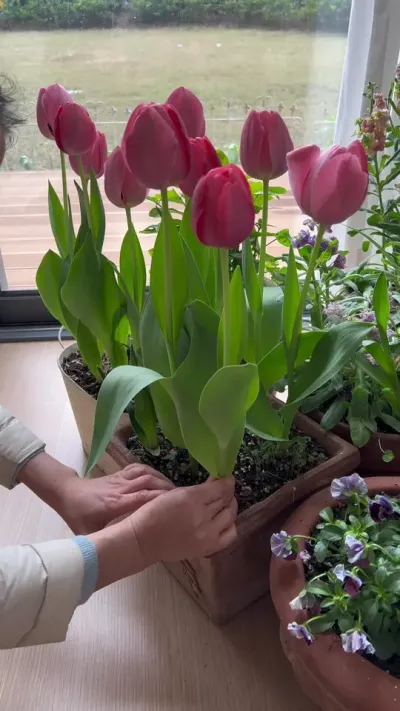 ��������һ������һ����~