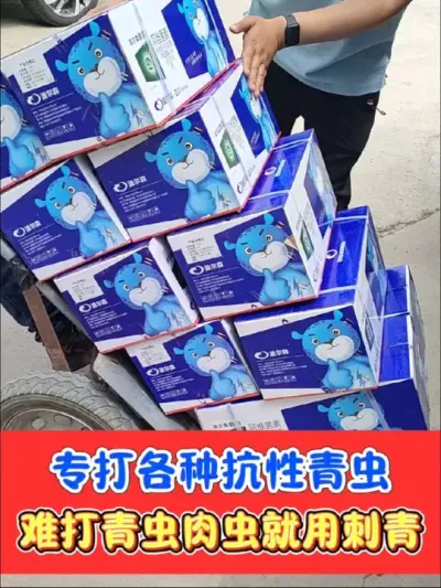 青虫肉虫克星⭐就是刺青 刺青专打难打青虫肉虫，打死菜青虫，玉米螟，甜菜夜蛾，斜纹夜蛾，瓜绢螟等#杀虫剂 #杀虫 #刺青杀虫剂#农资肥料 #农业种植
