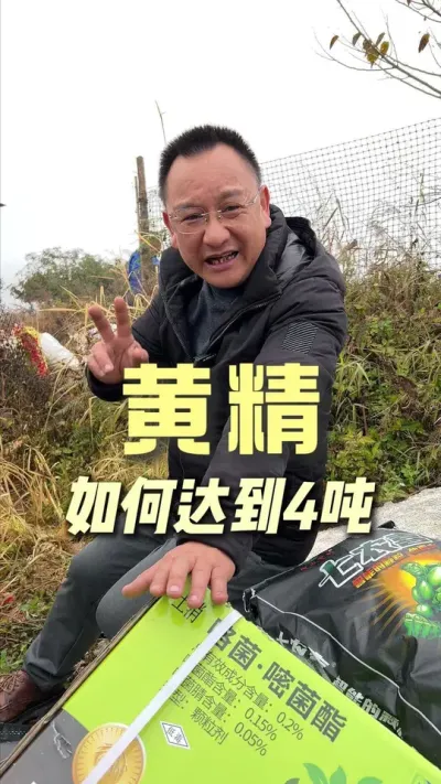 ����ƾ��ϰ徿��������ʲô������Ķ��4�ֳ���#ũҵݪֲ #��ũ #ݪֲС���� #�ƾ�ݪֲ