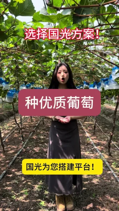 �������ҹ��⣡��Ʒ����������Ҫ�ҹ��⣡24���츮��������ʮ����Ʒ�ֵ�������#��ũ #ũҵݪֲ #����ݪֲ