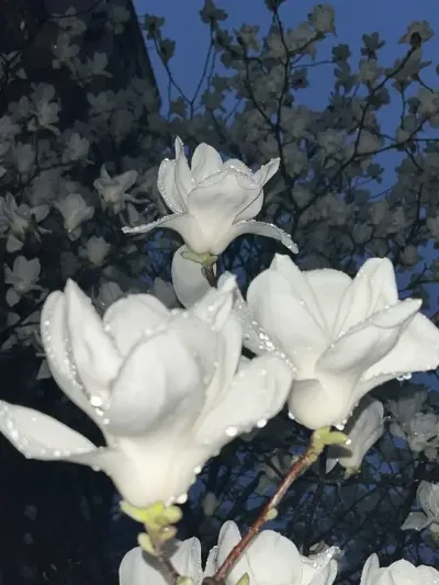 ��������������#������ #���� #���л�