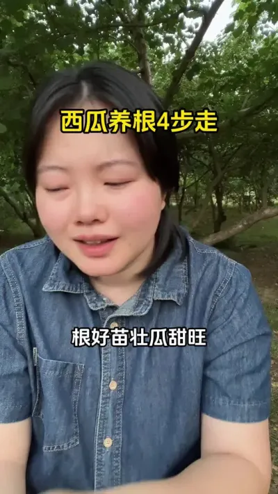 #西瓜种植 #西瓜管理 #西瓜高产#西瓜种植技术